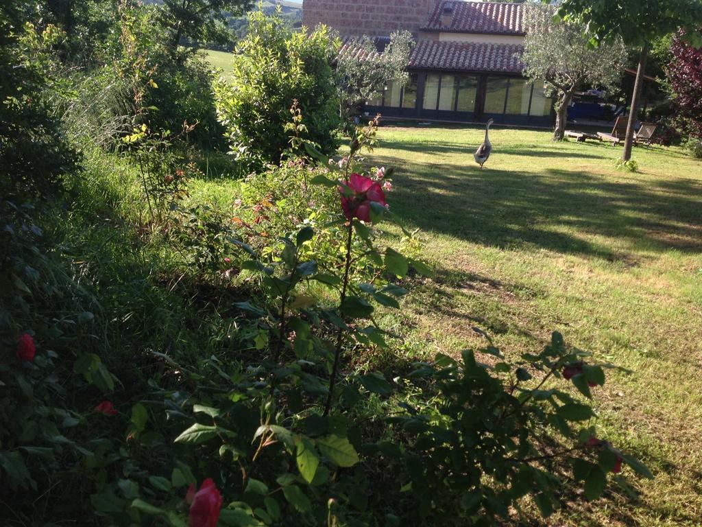 索瓦纳Poggioba住宿加早餐旅馆 外观 照片